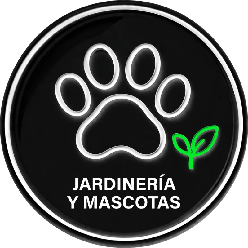 Botones pag web_Mesa de trabajo 1 copia